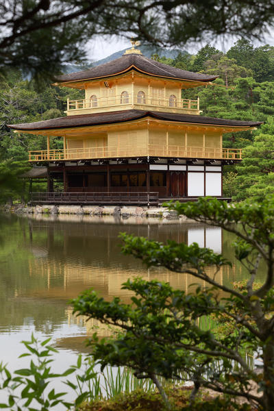 Kinkaku-ji shrine, golden temple, Kyoto, Japan, Asia