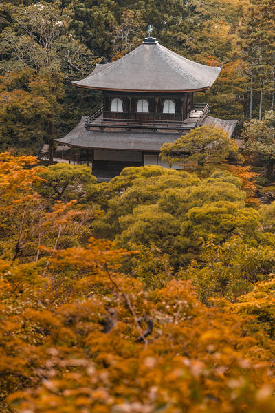 Ginkaku-ji shrine, silver temple, Kyoto, Japan, Asia