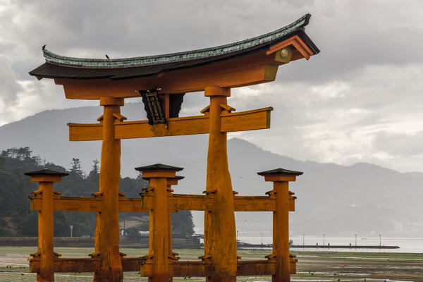Floating Torii in Miyajima Island, Hiroshima, Japan, Asia