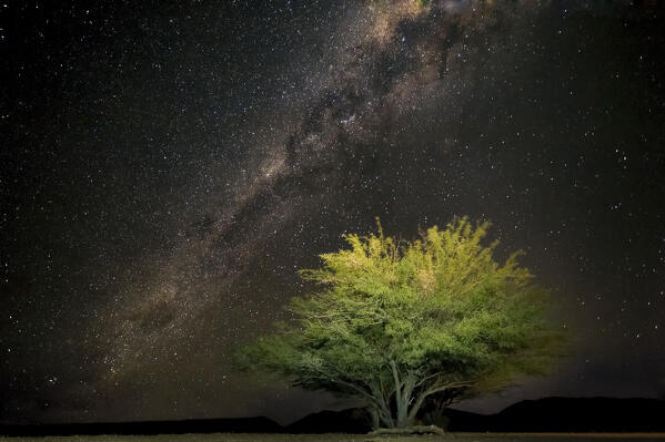 Milky way over Namib desert; Namibia; Southern Africa
