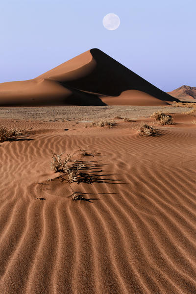 Dune at sunrise in Sossusvlei area, Namib Naukluft National Park, Namibia