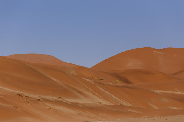 Red dunes in Hiddenvlei, Sossusvlei area, Namib Desert Naukluft National Park, Namibia, Africa