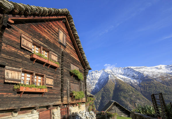 Wood facade of traditional house in the walser village of Salecchio, Valle Formazza, Verbano Cusio Ossola, Piedmont, Italy
