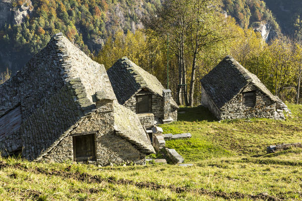 Stone houses in the traditional walser village of Salecchio, Val Formazza, Verbano Cusio Ossola province, Piedmont, Italy