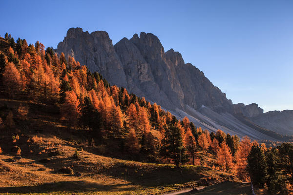 Dolomites, Odle, Funes valley, in the background the Furchetta peak at Sass Rigais peak, Sud Tirol, Trentino alto Adige, Italy
