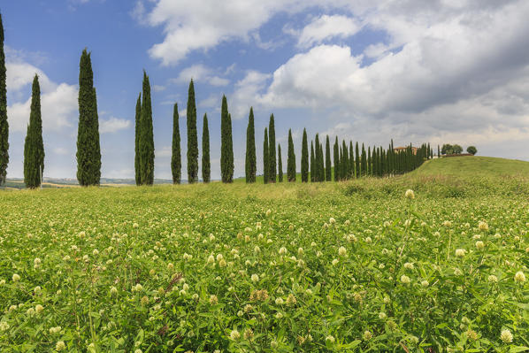 Italy, Tuscany, Orcia valley, farmhouse Poggio Covili at Castiglione d'orcia, province of Siena