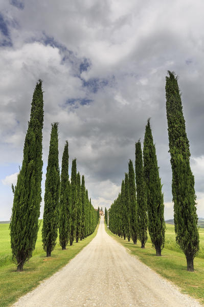 Italy, Tuscany, Orcia valley, farmhouse Poggio Covili at Castiglione d'orcia, provence of Siena
