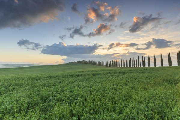 Italy, Tuscany, Orcia valley, sunrise at farmhouse Poggio Covili, Castiglione d'Orcia, province of Siena