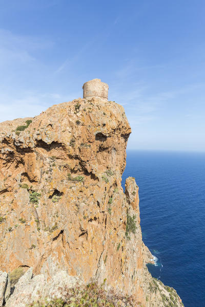 Tower of Turghio (Tour de Turghio) on top of Capu Rossu, Cargese, Corsica, France