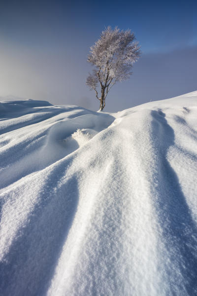 New snow over Mottarone, Novara, Verbano Cusio Ossola, Piedmont, Italy, Southern Europe