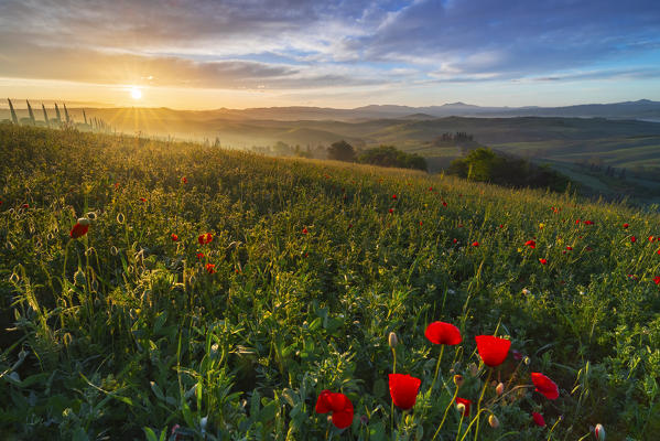 Sunrise at Podere Belvedere, San Quirico d'Orcia, Siena, Tuscany, Italy, Southern Europe