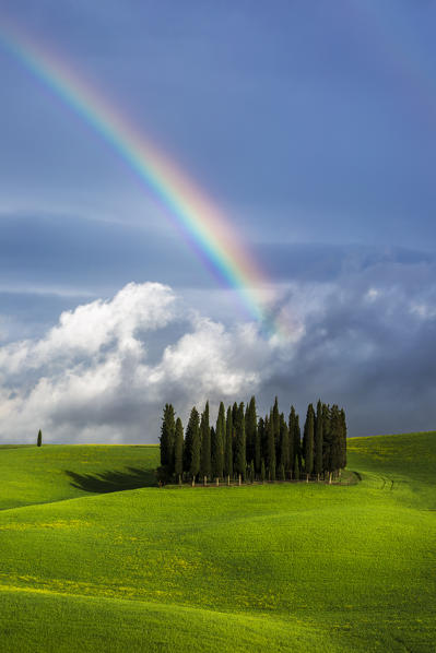 Rainbow over cypresses, San Quirico d'Orcia, Siena, Tuscany, Italy, Southern Europe