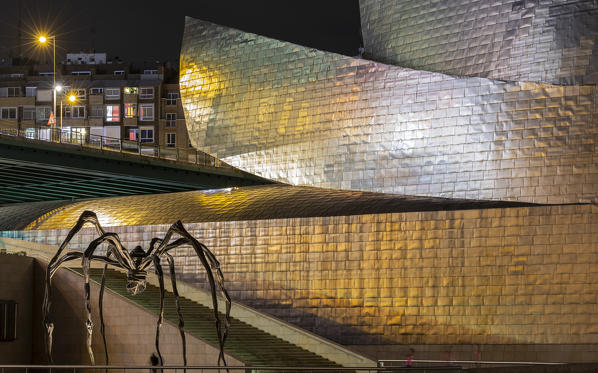 Guggenheim Museum at night and its sculpture, Bilbao, Basque country, Spain, Iberian Peninsula, Western Europe
