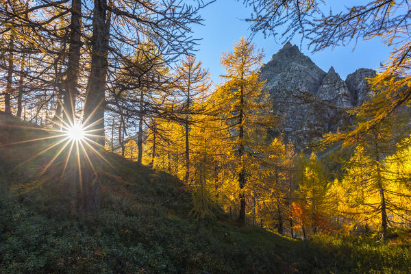La Rossa at sunset during autumn, Parco Naturale dell'Alpe Veglia e dell'Alpe Devero, Verbano Cusio Ossola, Piemonte, Italy, Southern Europe