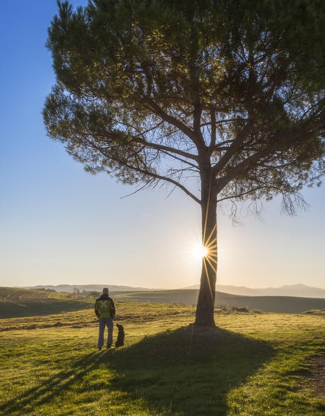 A dog and its owner at sunrise in Val D'orcia, San Quirico d'Orcia, Siena, Tuscany, Italy, Southern Europe