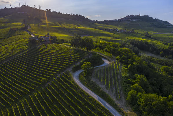 La Morra at sunset from Cappella del Barolo, Cuneo, Langhe e Roero, Piedmont, Italy, Southern Europe