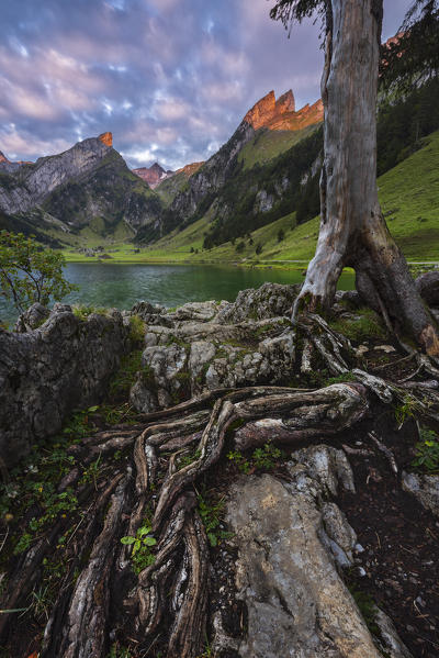 Seealpsee at sunrise, Wasserauen, Canton Appenzell Innerrhoden, Alpstein, Schwende, Switzerland, Western Europe