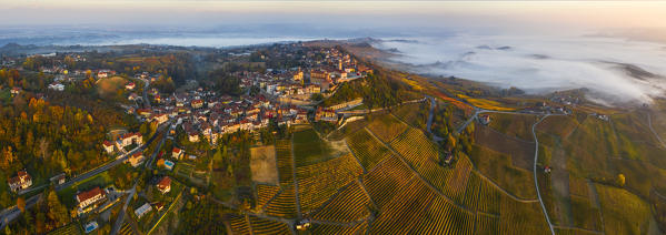 Aerial view of La Morra and vineyards during autumn at sunrise, Cuneo, Langhe e Roero, Piedmont, Italy, Southern Europe