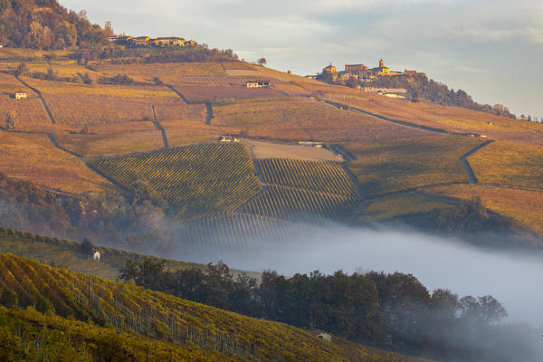View of La Morra and vineyards during autumn at sunrise, Cuneo, Langhe e Roero, Piedmont, Italy, Southern Europe