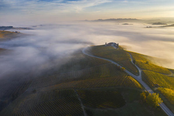 Aerial view of vineyards around Barolo during autumn at sunrise, Cuneo, Langhe e Roero, Piedmont, Italy, Southern Europe