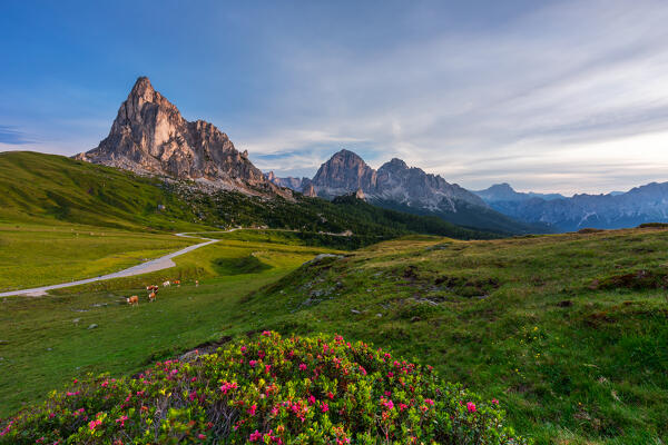 Summer view of Passo Giau at sunrise, Belluno, San Vito di Cadore, Ampezzo Dolomites, Veneto, Italy, Western Europe