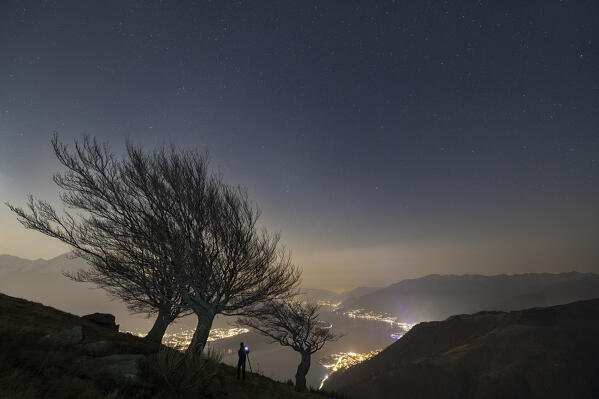 A photographer during during night at Montemezzo with ancient trees and illuminated Como Lake, Alto Lario, Montemezzo, Como, Lombardy, Italy, Southern Europe 