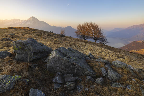 Monte Legnone view at sunrise from Montemezzo with ancient trees, Alto Lario, Montemezzo, Como, Lombardy, Italy, Southern Europe 