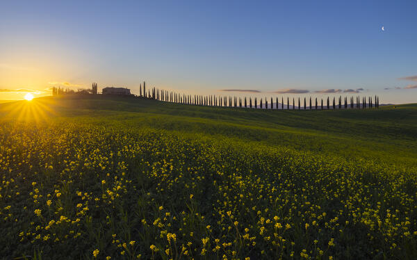 Farmhouse Poggio Covili at sunrise during spring, Castiglione D'Orcia, Siena, Tuscany, Italy, Southern Europe