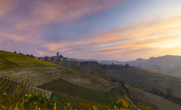 Serralunga D’Alba and its castle with vineyards at sunset during autumn, Cuneo, Langhe and Roero, Piedmont, Italy, Southern Europe