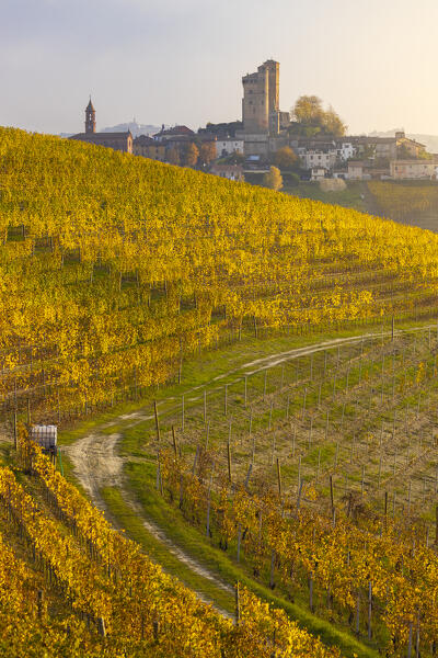 Serralunga D’Alba and its castle with vineyards at sunset during autumn, Cuneo, Langhe and Roero, Piedmont, Italy, Southern Europe