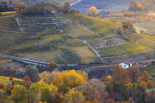 Vineyards around La Morra during autumn, Cuneo, Langhe and Roero, Piedmont, Italy, Southern Europe