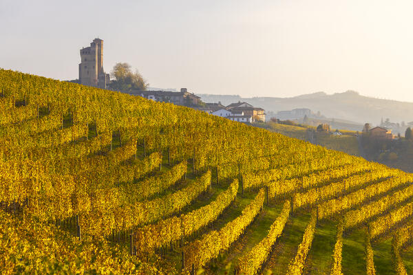 Serralunga D’Alba and its castle with vineyards at sunset during autumn, Cuneo, Langhe and Roero, Piedmont, Italy, Southern Europe