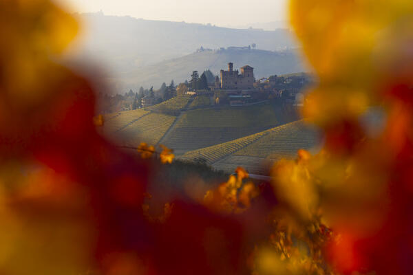 Grinzane Cavour framed by colors of autumn at sunset, Cuneo, Langhe and Roero, Piedmont, Italy, Southern Europe