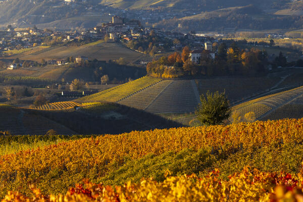 Grinzane Cavour and coloured vineyards at sunrise during  autumn, Cuneo, Langhe and Roero, Piedmont, Italy, Southern Europe
