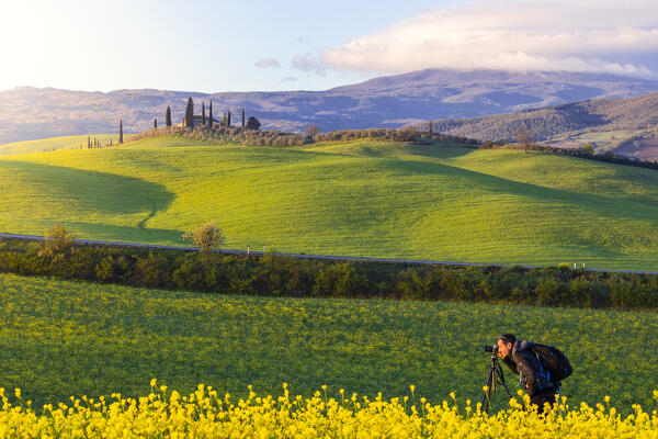 A photographer in the crops near  Poggio Covili at sunrise Castiglion d'Orcia, Siena, Tuscany, Italy, Southern Europe