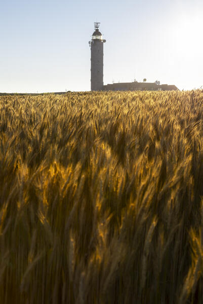 Sunset at Cap Gris Nez , Audinghen, Boulogne sur Mer, Calais, Cote d’Opale, Haute France, France, Western Europe