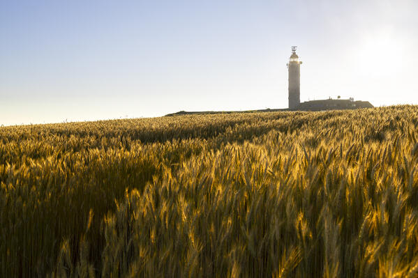 Sunset at Cap Gris Nez , Audinghen, Boulogne sur Mer, Calais, Cote d’Opale, Haute France, France, Western Europe