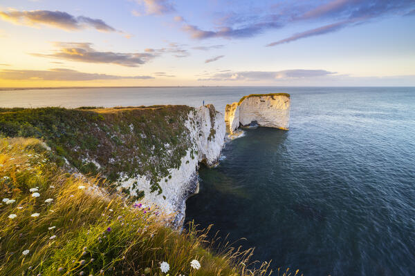 A tourist observes sunset at Old Harry Rocks during summer, Handfast Point, Purbeck isle, Dorset,  England, Great Britain, United Kingdom (MR)