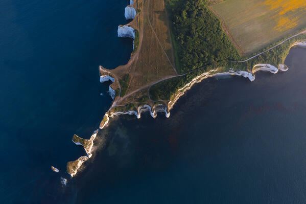 Aerial view of Old Harry Rocks at sunset during summer, Handfast Point, Purbeck isle, Dorset,  England, Great Britain, United Kingdom