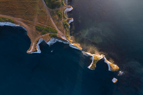 Aerial view of Old Harry Rocks at sunset during summer, Handfast Point, Purbeck isle, Dorset,  England, Great Britain, United Kingdom