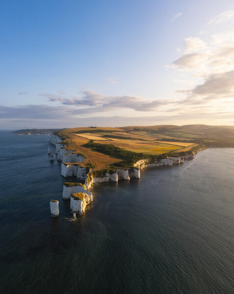 Aerial view of Old Harry Rocks at sunset during summer, Handfast Point, Purbeck isle, Dorset,  England, Great Britain, United Kingdom