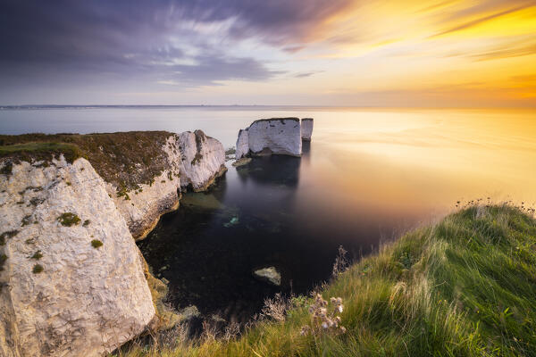 Sunrise at Old Harry Rocks during summer, Handfast Point, Purbeck isle, Dorset,  England, Great Britain, United Kingdom