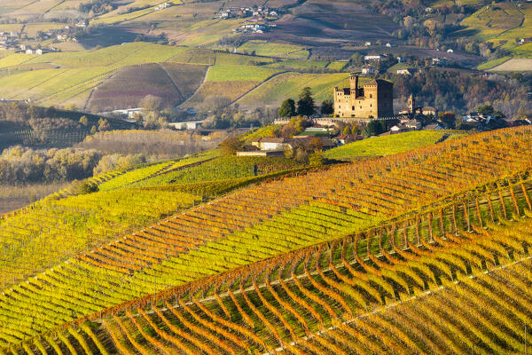 Grinzane Cavour and coloured vineyards at sunrise during  autumn, Cuneo, Langhe and Roero, Piedmont, Italy, Southern Europe