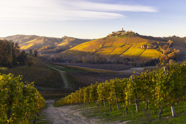 Castiglione Falletto at surise during autumn, Cuneo, Langhe and Roero, Piedmont, Italy, Southern Europe