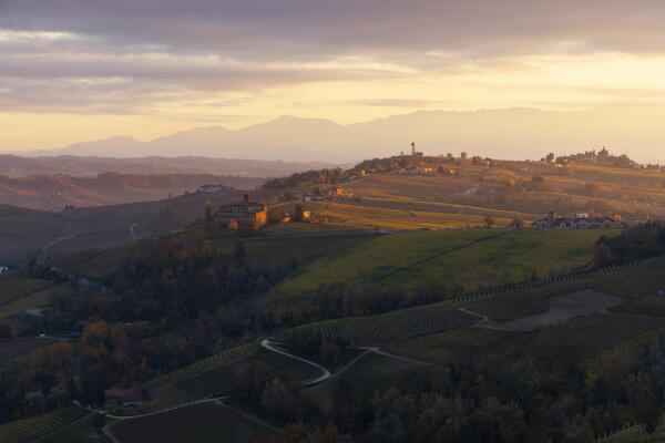 Vineyards around La Morra during autumn at sunset, Cuneo, Langhe e Roero, Piedmont, Italy, Southern Europe
