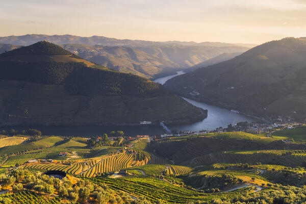 A beautiful view of Douro Valley and Pinhao with its vineyards viewed from Casal de Loivos viewpoint at sunset, Alijò, Vila Real, Douro, Norte, Portugal, Iberian Peninsula, Western Europe