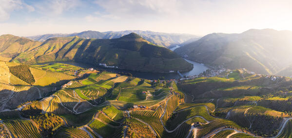 Panoramic and Aerial view of Douro Valley and Pinhao with its vineyards viewed from Casal de Loivos viewpoint at sunset, Alijò, Vila Real, Douro, Norte, Portugal, Iberian Peninsula, Western Europe
