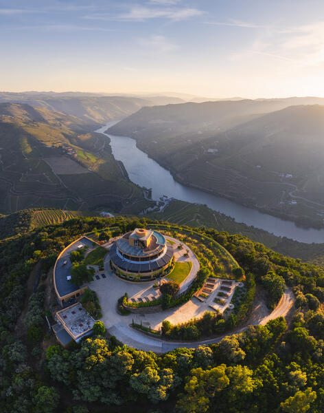 Aerial view of Douro Valley with its vineyards viewed from Quinta Das Carvalhas viewpoint at sunset, Alijò, Viseu, Douro, Norte, Portugal, Iberian Peninsula, Western Europe
