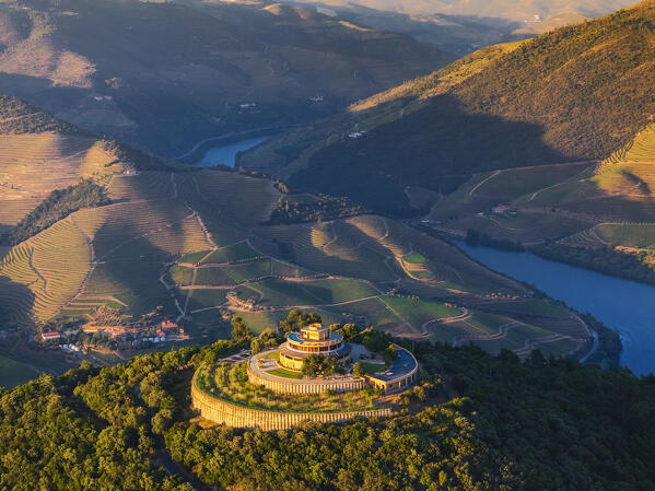 Aerial view of Douro Valley with its vineyards viewed from Quinta Das Carvalhas viewpoint at sunset, Alijò, Viseu, Douro, Norte, Portugal, Iberian Peninsula, Western Europe
