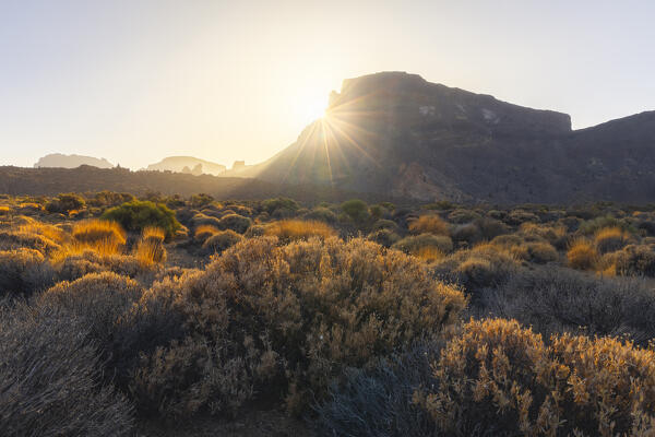 Roque de la Grieta and lava fileds during sunrise, Teide National Park, La Orotava, Santa Cruz de Tenerife, Tenerife, Canary Islands, Macaronesia, Spain, Western Europe